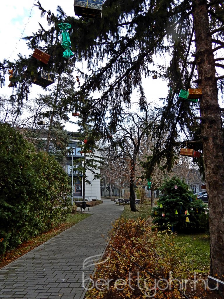 Fenyődíszítés a kórházban 33